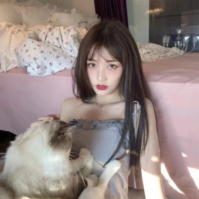 会飞的驴